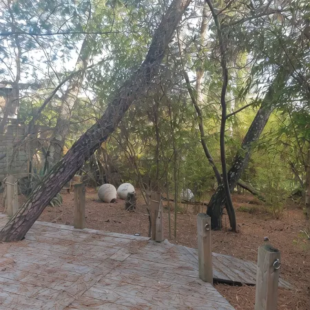 Cabane Ferret Capienne, 5-minute walk from the lake or ocean