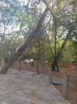 Cabane Ferret Capienne, 5-minute walk from the lake or ocean - 小木屋