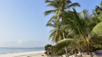 Baobab Sea Lodge - Beach
