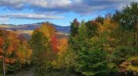 Private, Mountain Views, Close to Horse Show Grounds, Lake Placid and Hiking