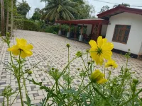 Sun Ceylon Homestay - parking