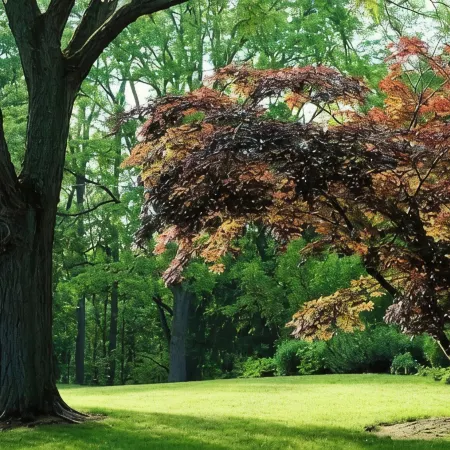 Perfect Getaway - Your Sanctuary Among Nature