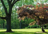 Perfect Getaway - Your Sanctuary Among Nature