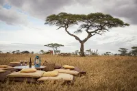 Pumzika Luxury Safari Camp - 3 estrellas