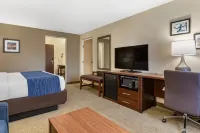Comfort Inn Near Greenfield Village - Gym