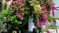 Akteon Rooms - balcony