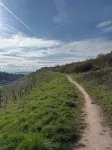 Cozy vacation apartment in the wine village of Trier Olewig - 3-Star