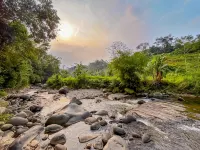 Kaliwatu Sentul Glamping & Campsite - Campgrounds