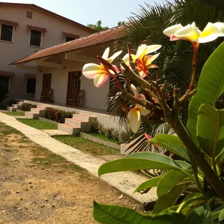 Pedasi Sports Club