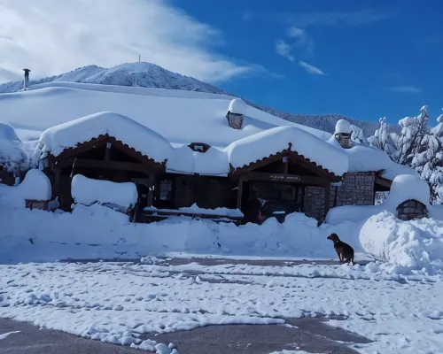 Guesthouse Kastania Korakis Hotels in Corinthia