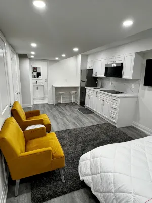 New Luxurious Studio Apartment - Homestays