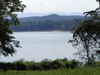 Peaceful lakeview cabin with private dock & dog run - Alppimaja