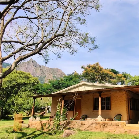 Jungle Hut