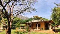 Jungle Hut