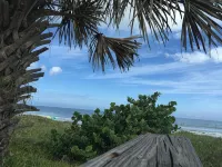 Coral Sands Inn - Ocean View