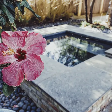 Highland Park + Dallas + SMU: Gorgeous home, pool & hot tub. BEST Location!