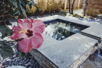 Highland Park + Dallas + SMU: Gorgeous home, pool & hot tub. BEST Location! - สระว่ายน้ำส่วนตัว