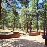 *Peace+Pines Paradise* - Cozy Luxury in the Forest - 3-stjärniga