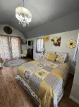 Star glazing Tiny house off grid peaceful Stone Mountain State Park and Fire pit - Homestays
