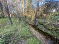 Studio above a detached garage away from main house on a private lot. - WiFi