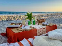 Oceanfront Seaside Stargazer+Hot Tub+Pets OK+Infinity Table+Beach Gear+4 Kings - Beach