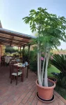 Hotel Ristorante la Luna - parking