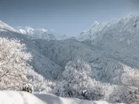 Myalps Pure - Wifi
