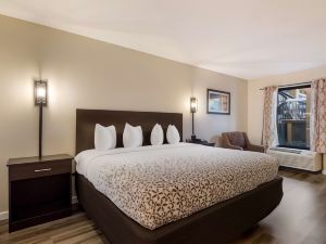 SureStay Hotel by Best Western St. Pete Clearwater Airport