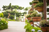 The Jerai Hill Resort - Villas