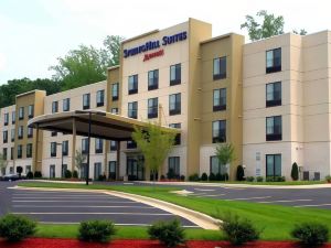 SpringHill Suites Winston-Salem Hanes Mall