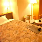 City Hotel in Kokubu Hotels near Hyatokan