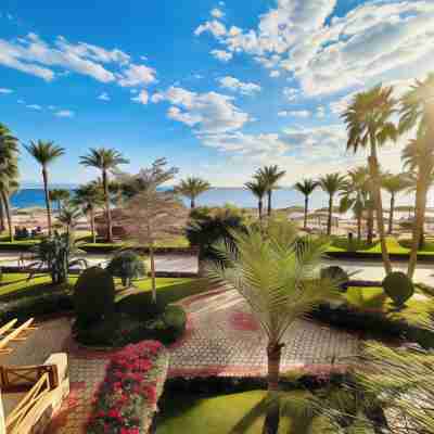 Steigenberger Hotel & Nelson Village, Taba Rooms