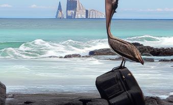 Galápagos Eco Friendly