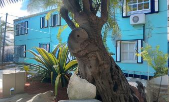 Hoosville Hostel (Formerly the Everglades Hostel)