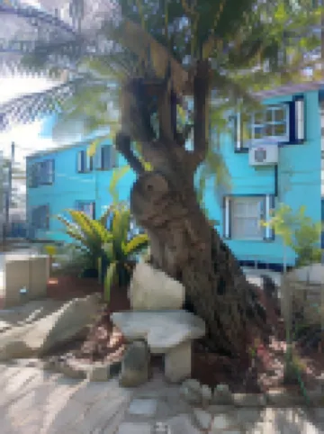 Hoosville Hostel (Formerly the Everglades Hostel) Hotels in 