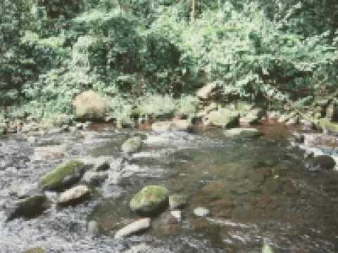 Habitación Y Baño Independientes