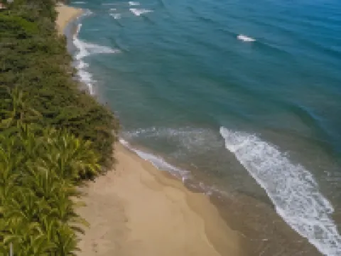 Playa 506 Beachfront Hostel Hotels in Cocles