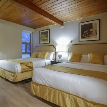 Grizz Hotel Hotels near Revelstoke Community & Aquatic Centre