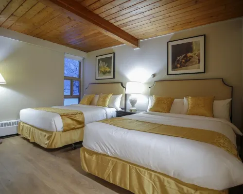 Grizz Hotel Hotels in Revelstoke