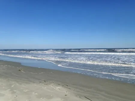 Breathtaking Marsh Views and Screened Porch - Inviting Coastal Haven Отели в г. Сибрук Айленд