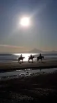 1 MILE TO BEACH ACCESS, MOUTH  OF KENAI RIVER!