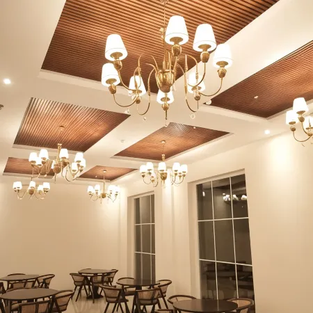 The Belvedere Kasauli