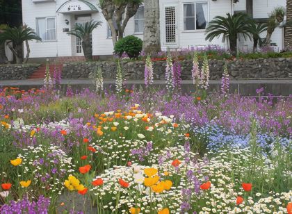 ペンション 菜の花
