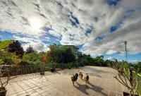 Zapa Hill Villa Hotel a Gunungsari