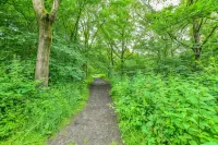 Regency Guest House Manchester North Hotels in Middleton