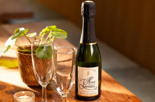 Hôtel Wyld Saint Germain Отели рядом с достопримечательностью «Нотр-Дам-де-Пари»