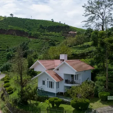 Falcon Crest
