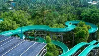 Lloyd's Inn Bali - Bãi biển