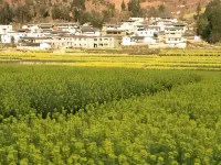 Miyi Hongrun Farmhouse