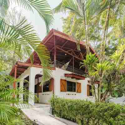 spacious and comfortable Villa with tropical charm and pool Hotel Exterior